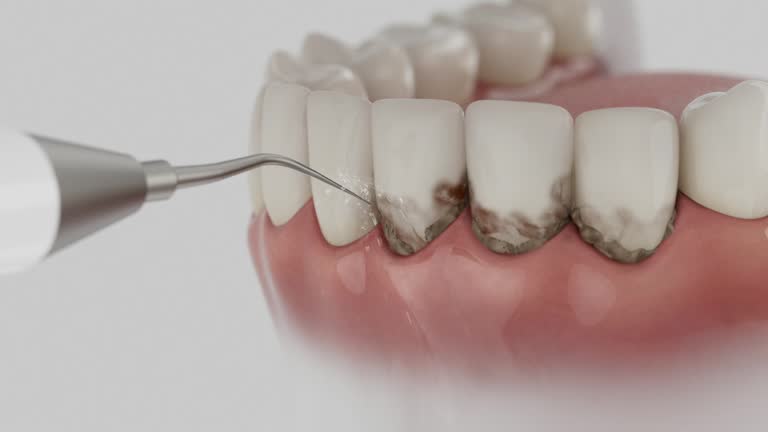 Reliable Dental contractor in Stockton, KS by Dentist Open Now